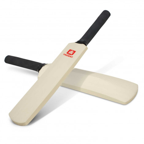 mini-cricket-bat