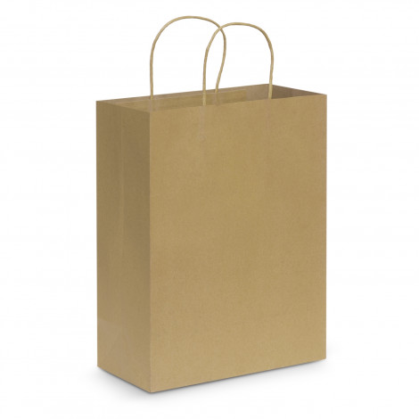 paper-carry-bag-large - Image 2